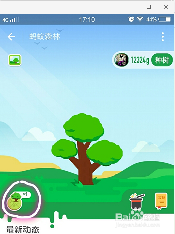 支付宝APP蚂蚁森林怎么玩？