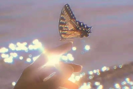 英文句子唯美简短有哪些