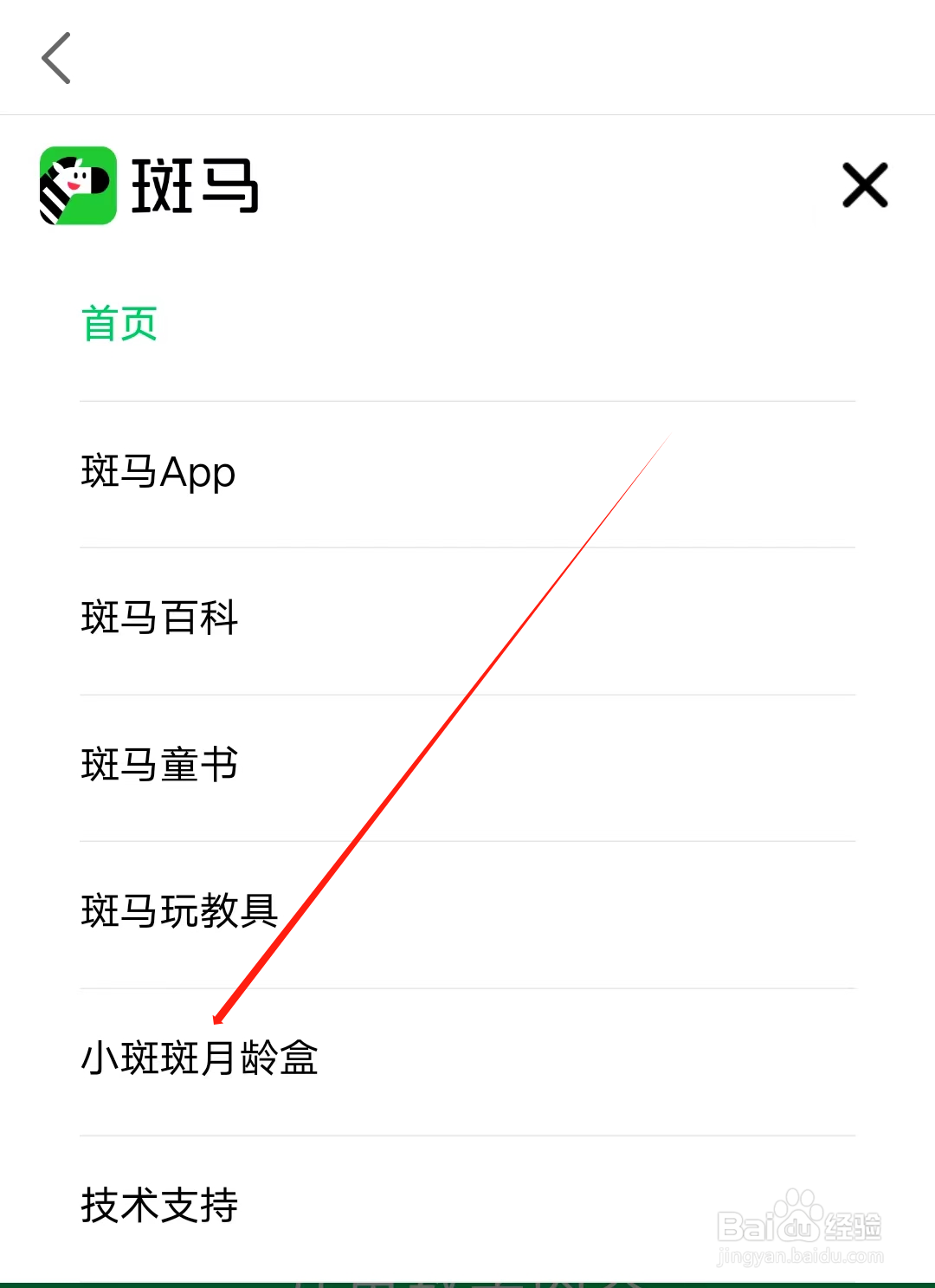 斑马如何查看小斑斑月龄盒