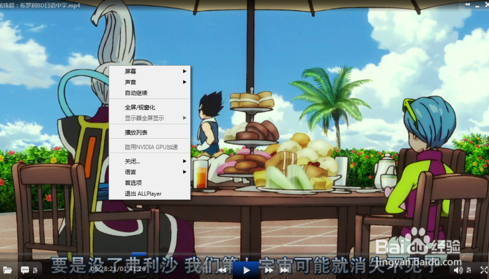 怎么设置allplayer的首选项