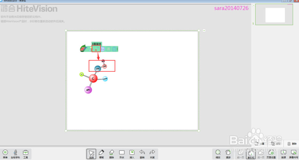 怎样在白板中进行生物课的氨基酸教学？