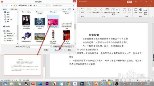 PPT制作时如何设置背景图片?