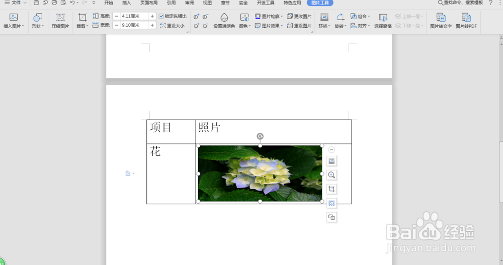 word插入的图片不变形