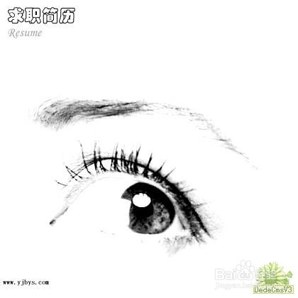 IT软件行业如何写简历