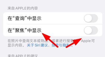 iPhone13中的在