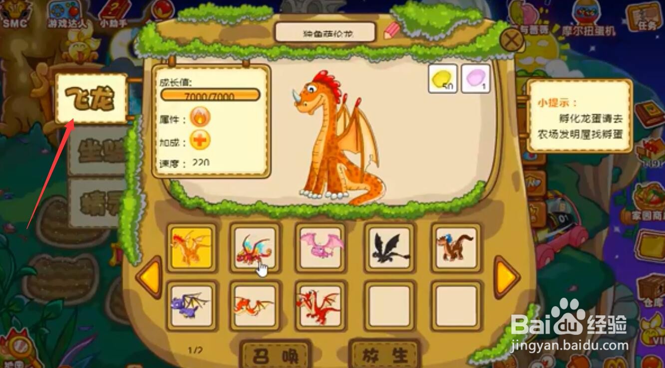 摩尔庄园飞龙坐骑获得攻略