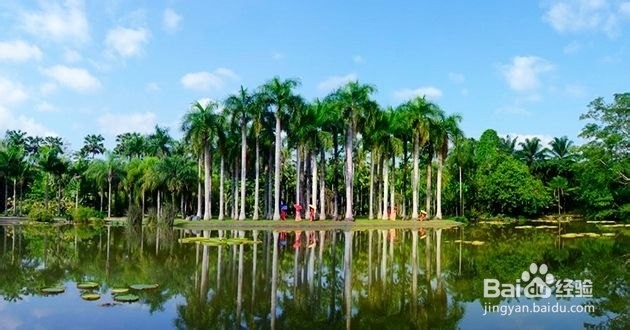 西双版纳旅游攻略