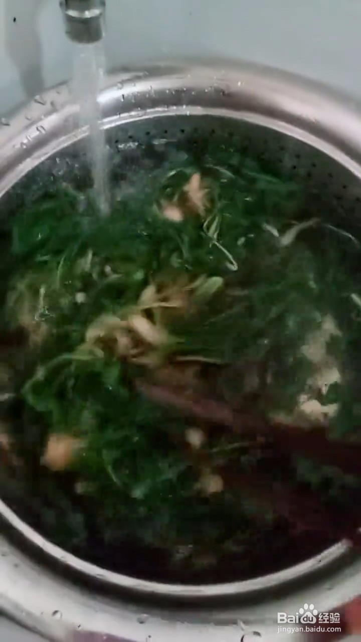 如何自制美味好吃的凉拌蒲公英