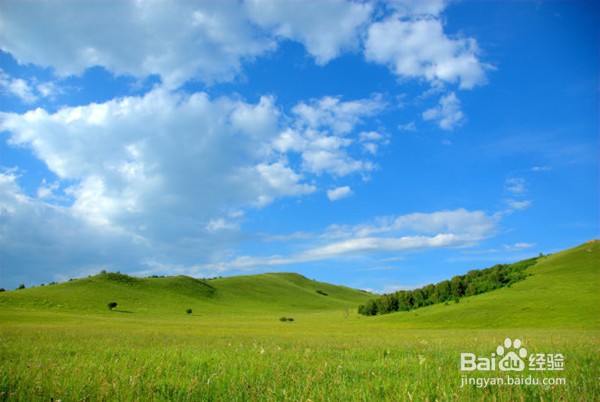 马儿在草原上吃草扩句怎么扩
