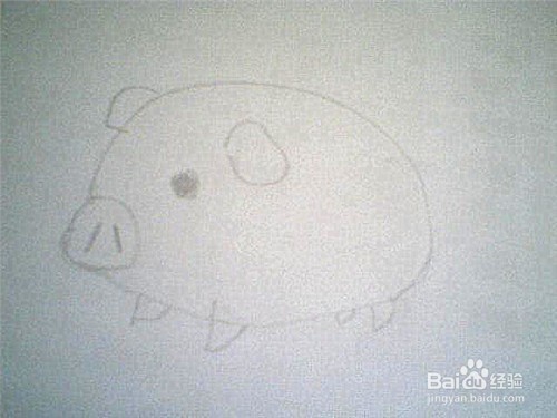 简笔画猪的画法: