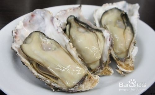 牡蛎的功效与作用男人吃了牡蛎真的可以补肾 百度经验