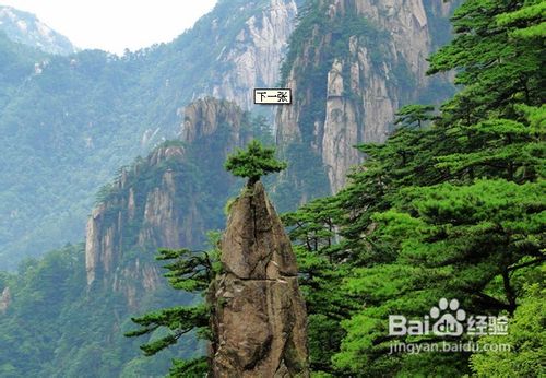 杭州到黄山著名山水之旅(可观日出)