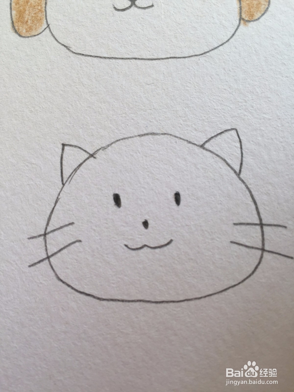 宝宝学动物简笔画