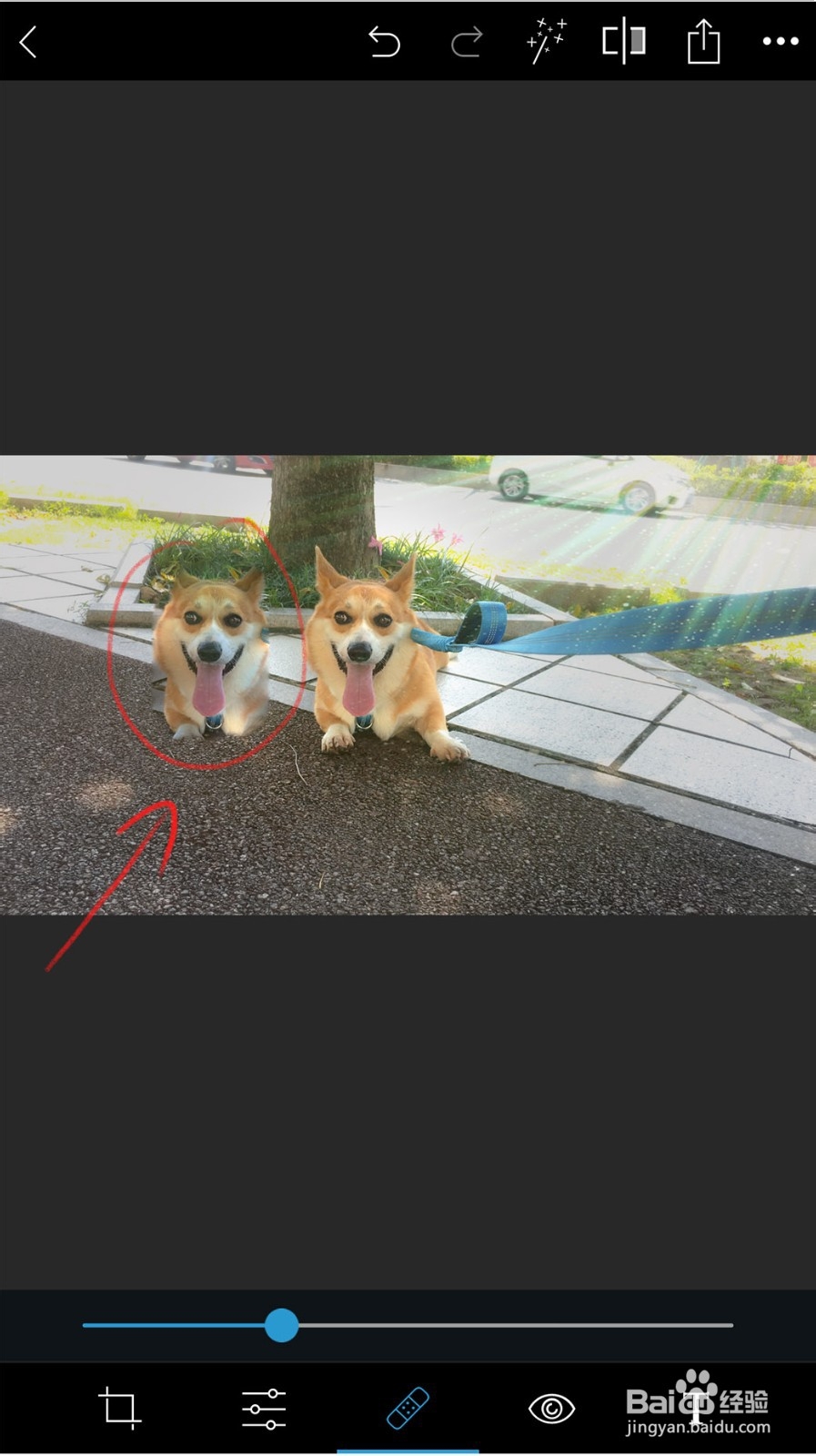 如何使用手机版PS