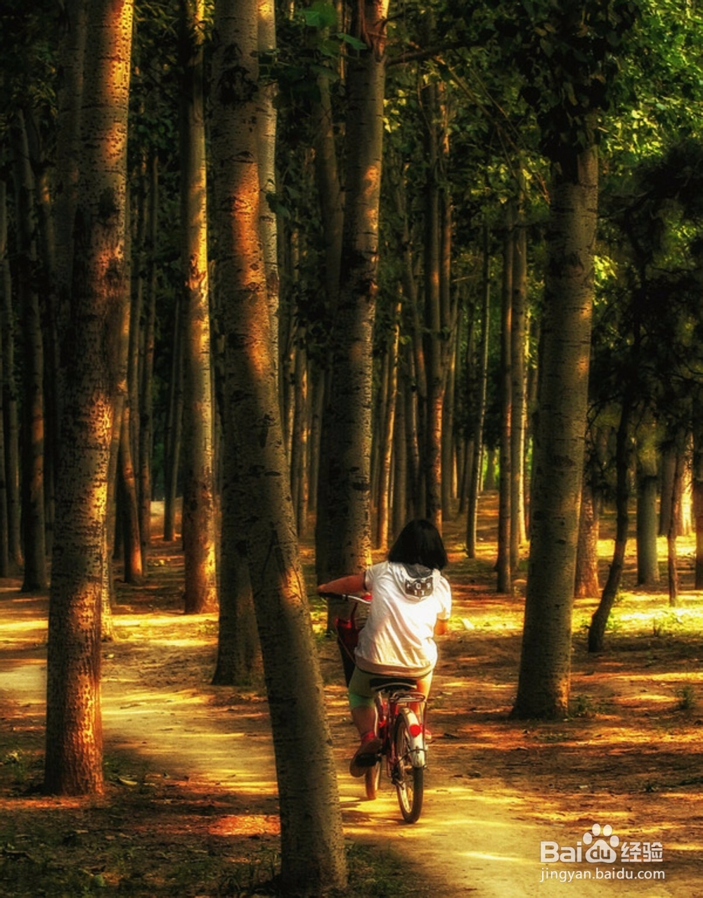 如何讲好一个故事？