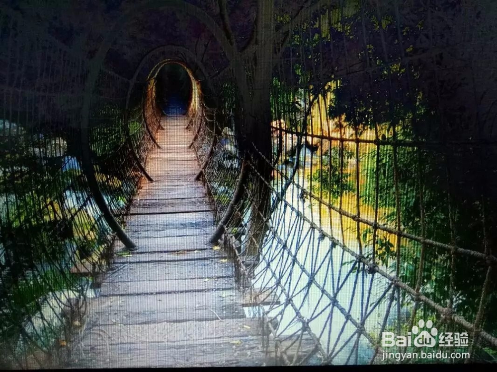 自信抑或迷茫，都请读读文章，再问问心房。