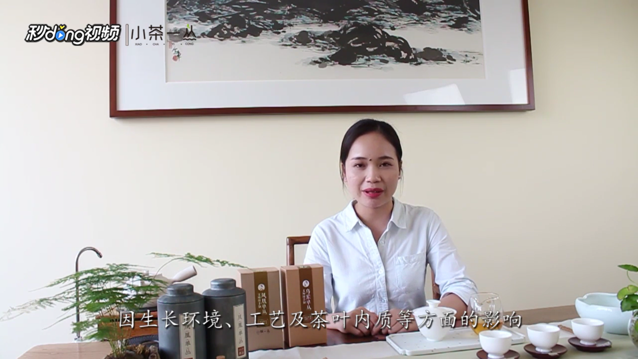 凤凰单丛的香型有哪10大香型