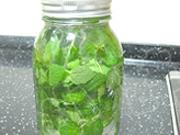 冰爽薄荷蜂蜜茶的做法