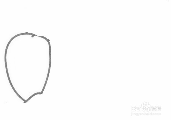 蝈蝈的简笔画