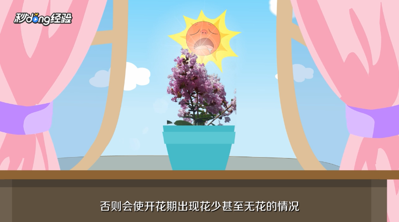 紫薇花如何养殖
