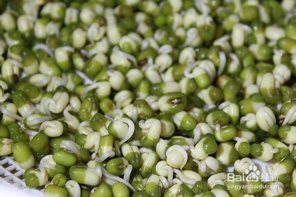 凉拌自发绿豆芽