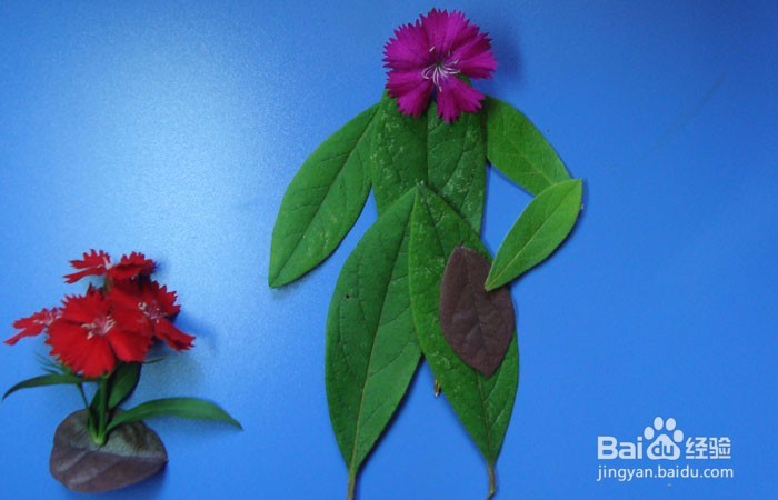 植物拼装画之欣赏花的美女