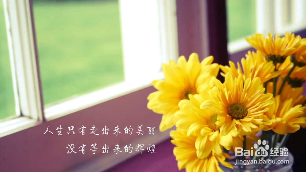 高考：[15]2013山东高考考生应了解的资讯