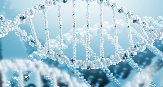 生物遗传学中有个叫