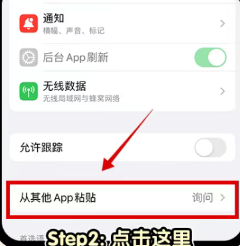 苹果手机如何允许粘贴