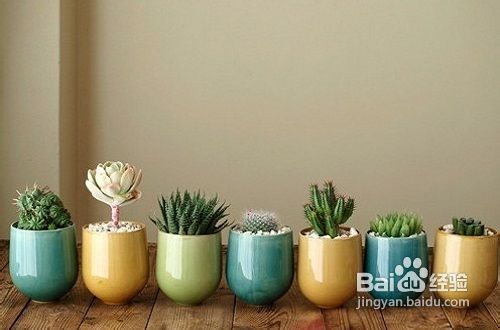 如何防止电脑辐射?使用电脑需要注意点一些常识