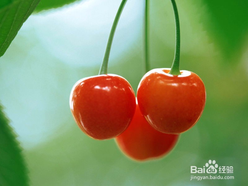 夏天不适合与适合妈妈的水果有哪些