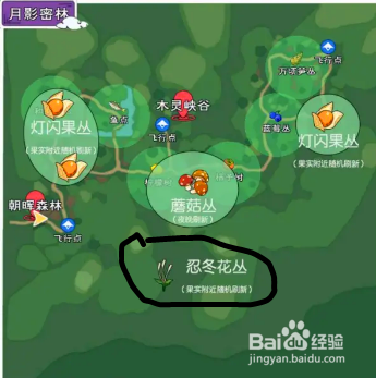 小森生活忍冬花怎么获得