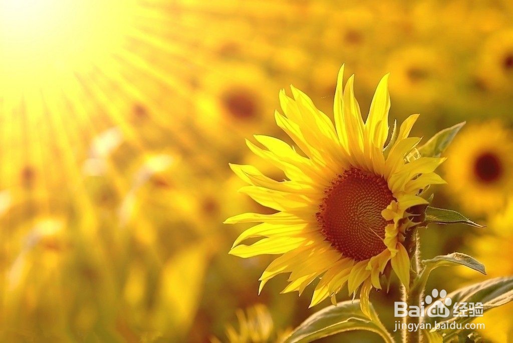 给女孩子的小建议