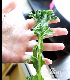 如何让羽衣甘蓝变好好吃 沙拉 配菜都可以~