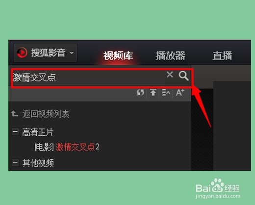 搜狐影音怎么下载视频