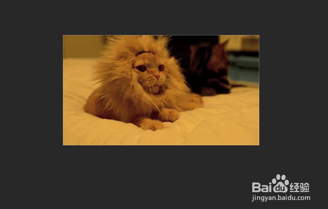 Photoshop CC 2018怎么缩放图层