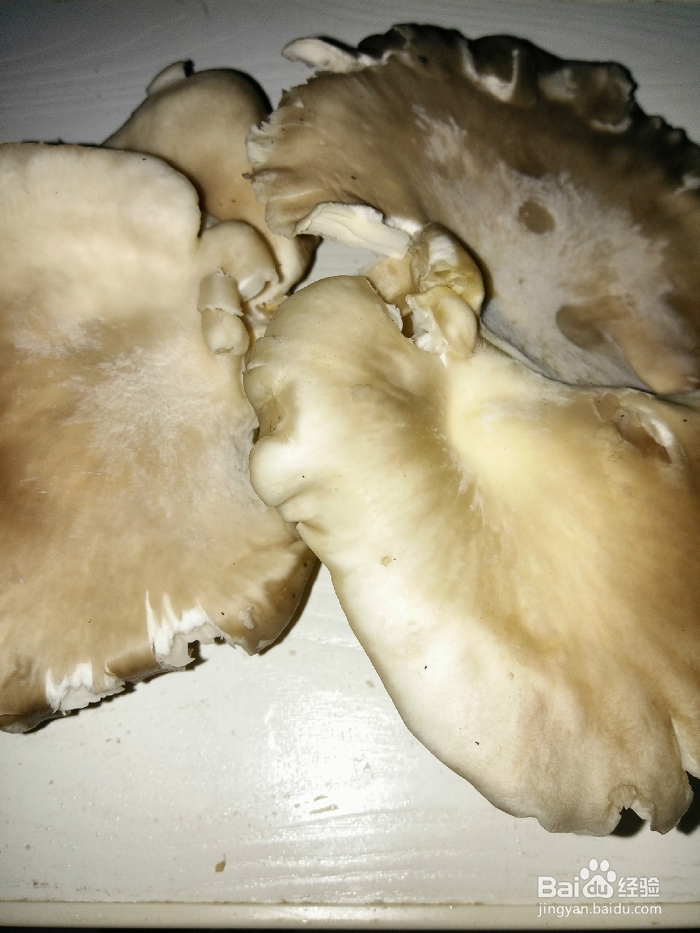 蘑菇肉片汤的做法