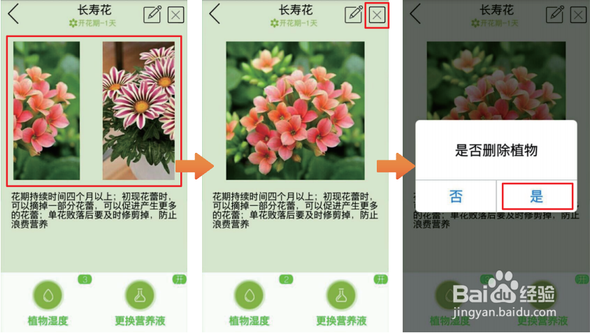 如何用手机app控制宜植爱藏韵智能鱼植机