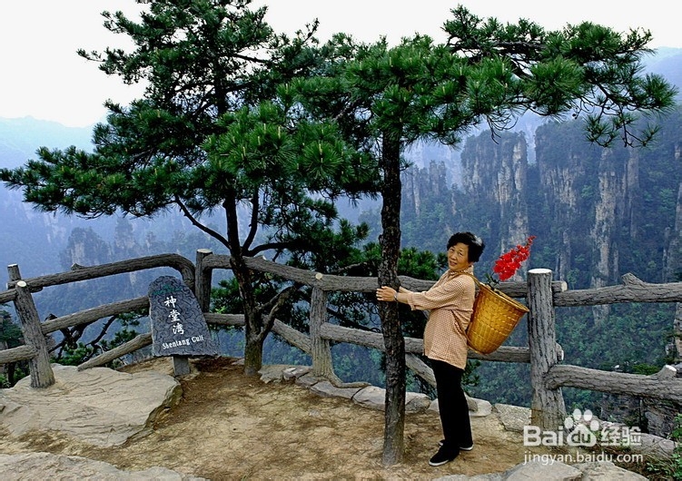 松原到张家界自驾游