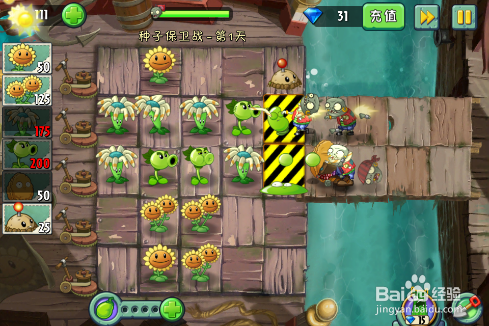 植物大战僵尸2:种子保卫战第1天(海盗港湾)