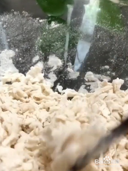 西红柿疙瘩汤