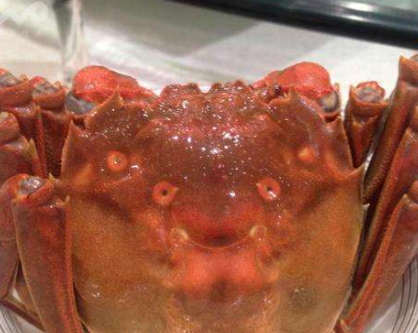 有笑脸的螃蟹来自哪里