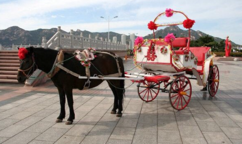 我是女方,结婚时女方父母一分钱不出是对的吗