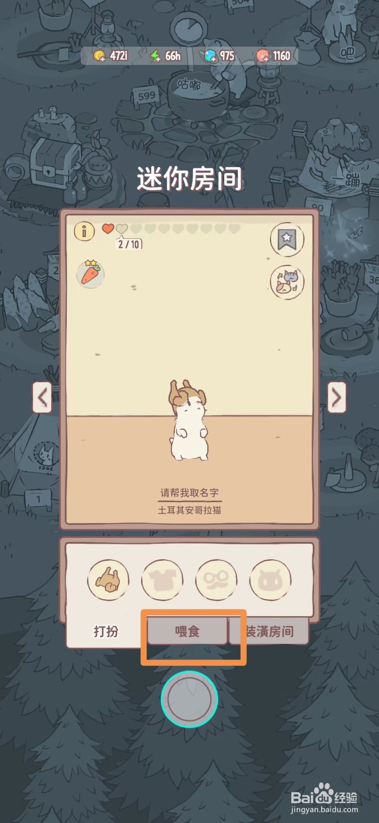 猫咪和汤怎么给猫咪喂鱼