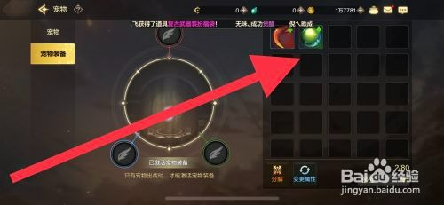 DNF手游宠物装备翡翠珠怎么操作