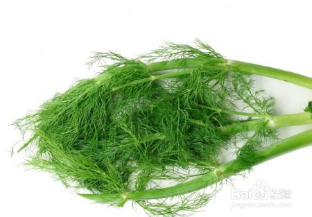 我的养生经验杂谈：[6]各类蔬菜的营养价值