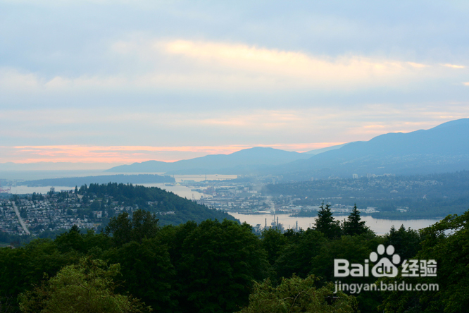 温哥华夜幕下的玫瑰园(组图)