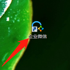 企业微信微文档数据出错、丢失怎么办