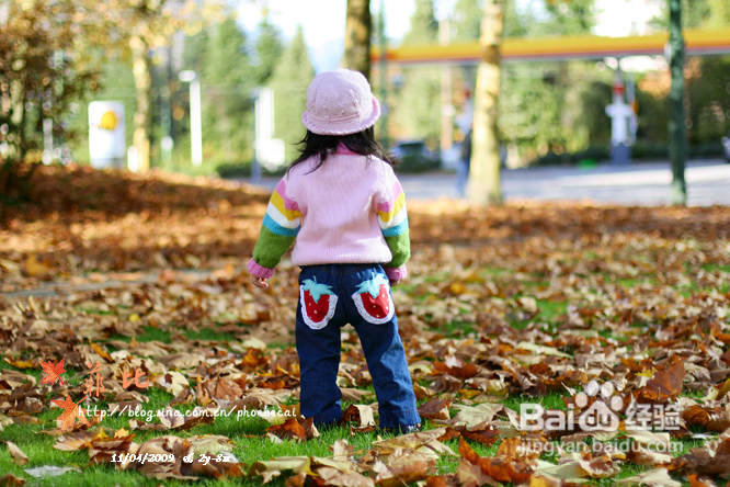 温哥华秋意的乐园，舞动的精灵(组图)