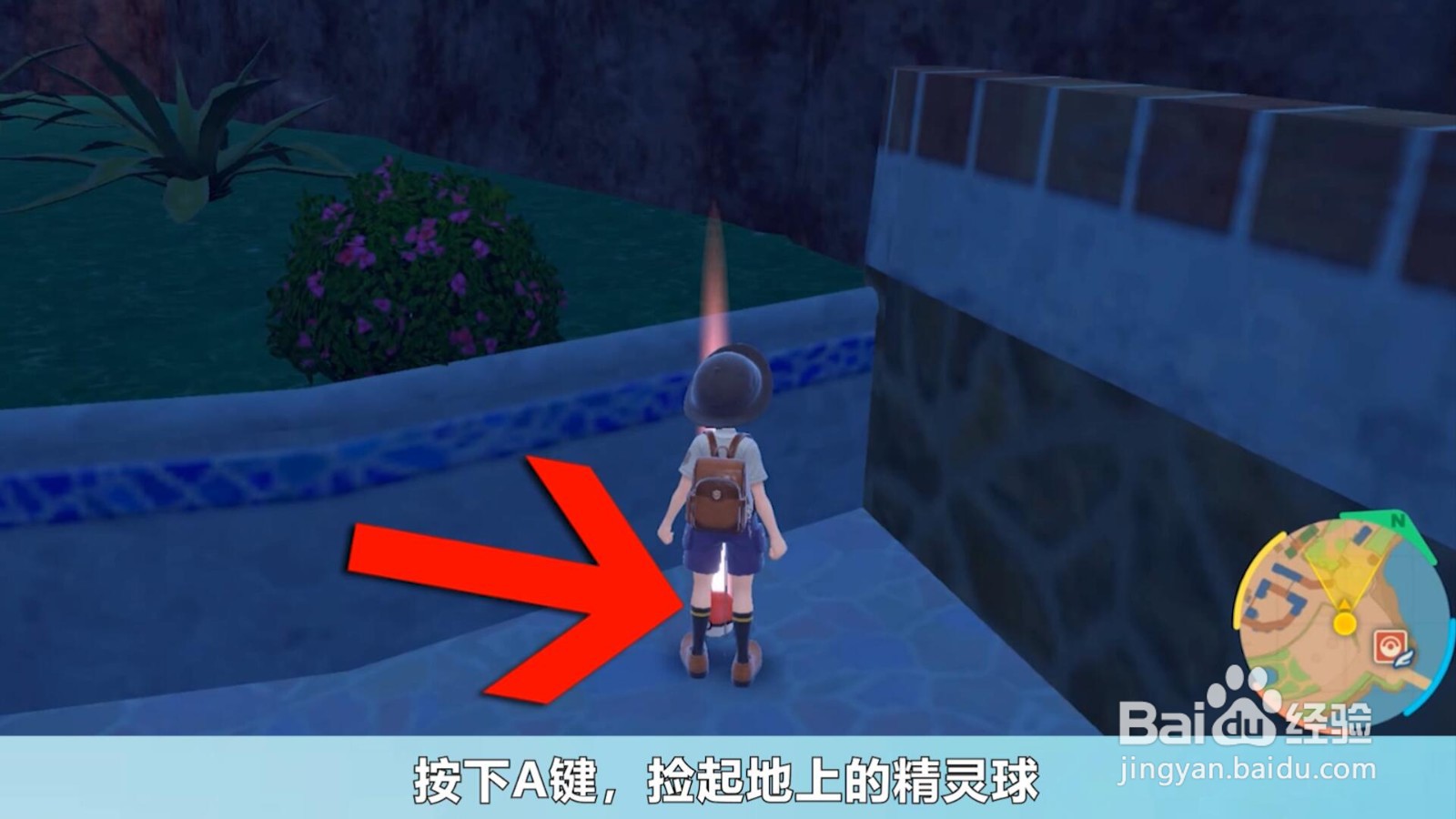 宝可梦朱紫安抚之铃怎么获得